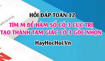Tìm m để hàm số có 3 cực trị tạo thành tam giác có 3 góc nhọn? Toán lớp 12 - Hỏi đáp